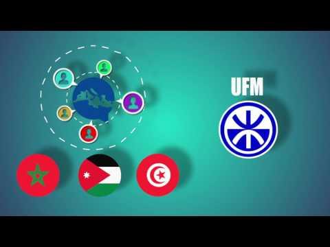 Embedded thumbnail for Presentation of the project SOLiD - English version